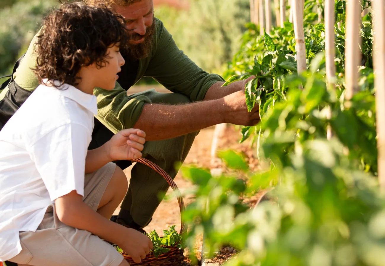 Eco-friendly gardening activities for kids at Aulus Lindos Rhodes