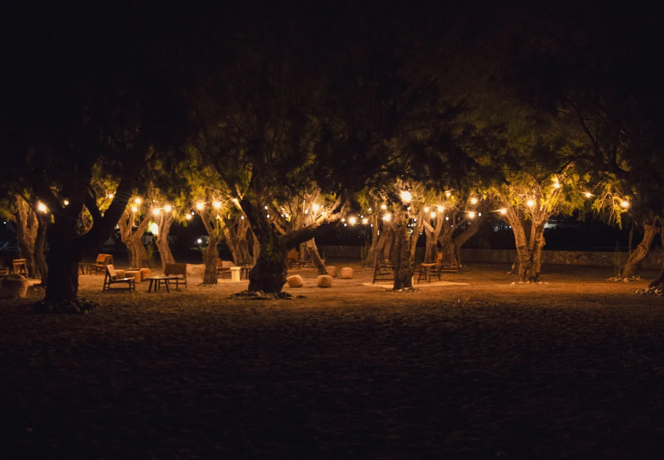 Beachfront all-inclusive resort with premium restaurants in Rhodes