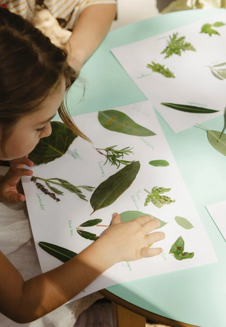 Best Activities for Kids in Zante