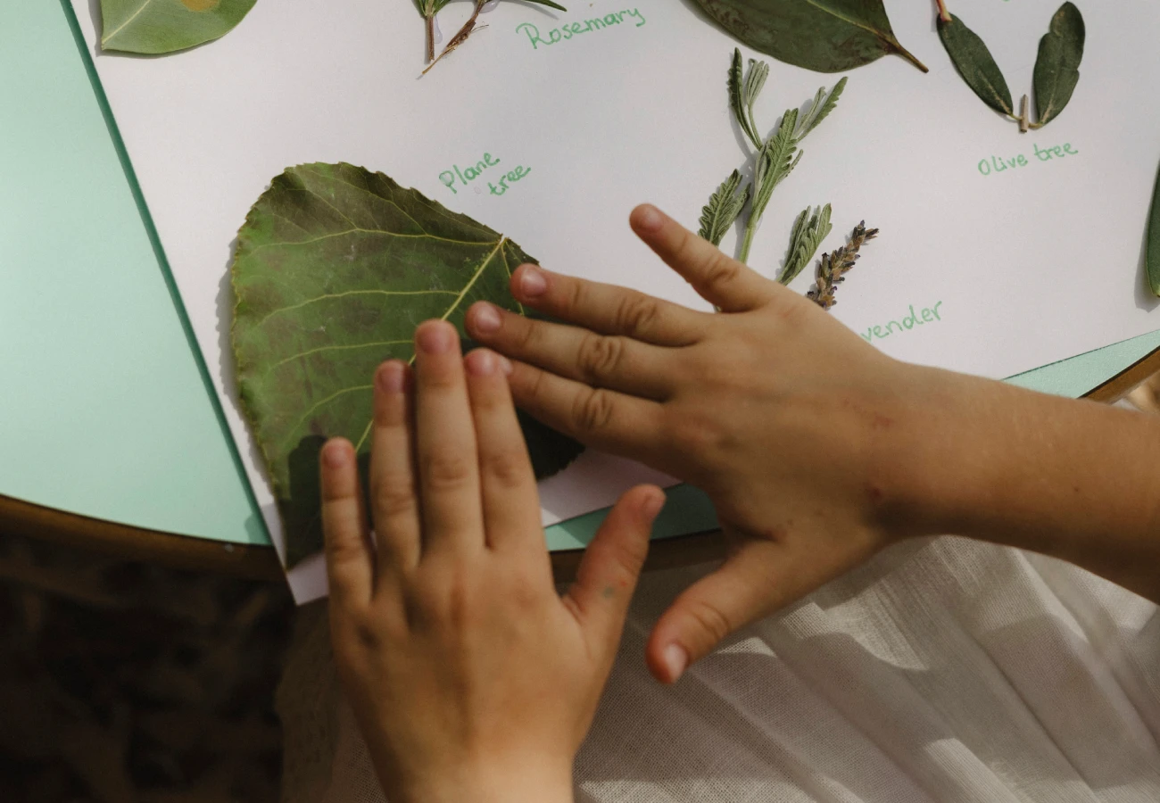 Hotel with Eco Garden in Zante Greece