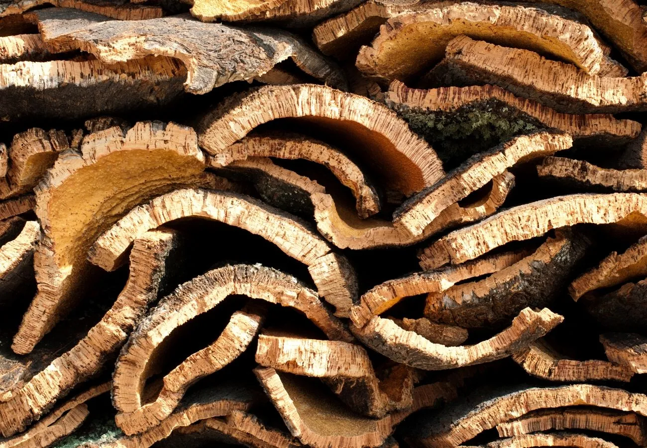 Cork Factories In Portugal