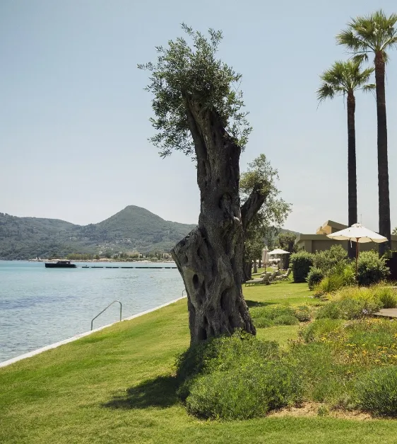 Adults-only Luxury Suites in Corfu