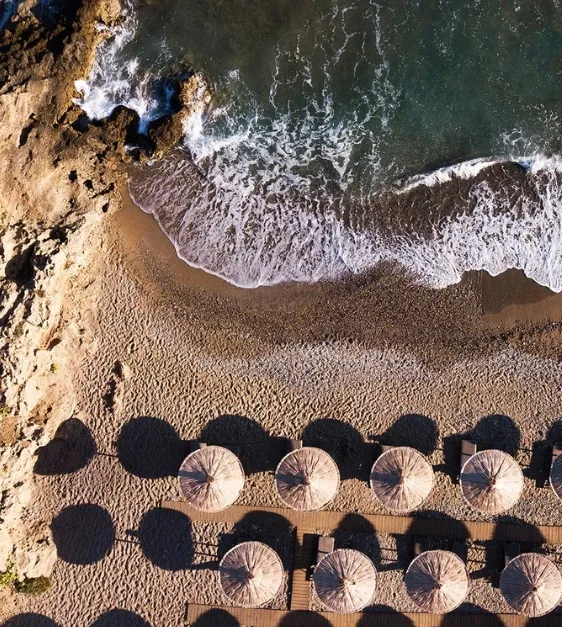 Special rates and exclusive offers for our guests