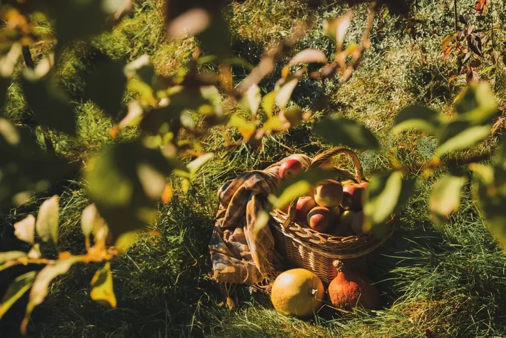 Organic Farm in Corfu