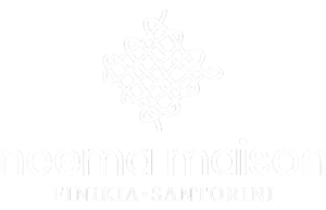 Neema Maizon Logo