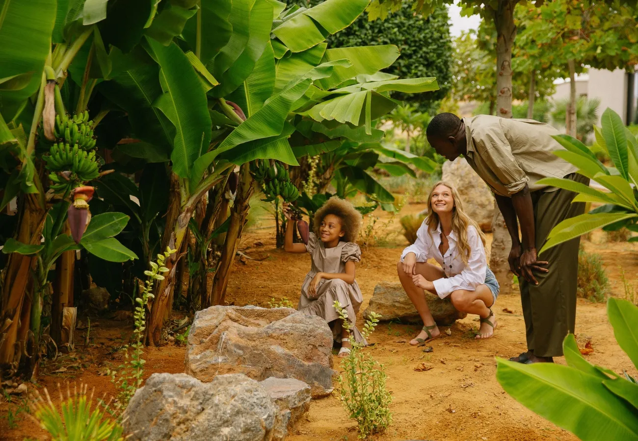 Sustainable Luxury: How Domes Resorts Redefine Conscious Travel