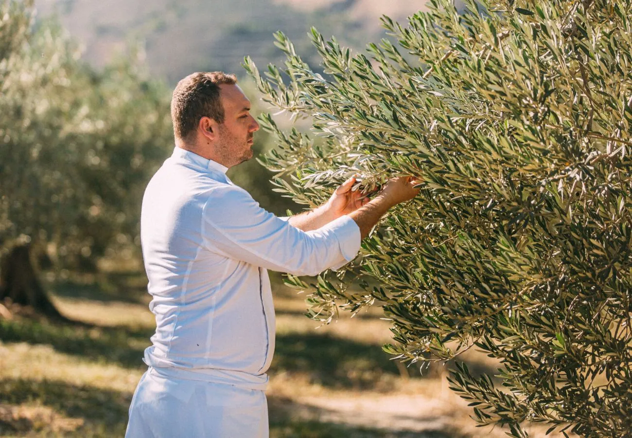 From Farm to Table Philosophy: Cooking Sustainability at Makris by Domes