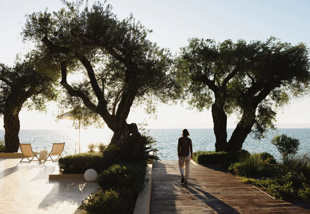 The Spring Divide New Discoveries vs. The Comfort of the Familiar Favorite